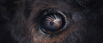 This Week's  Film Reviews ( Aug 8th, 2025)