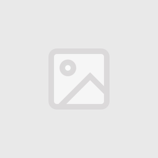 Toronto International Film Festival 2025 Capsule Reviews 