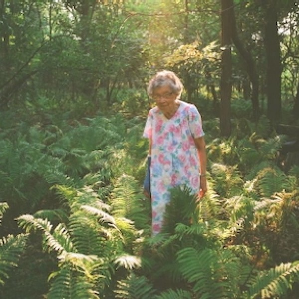 This Week's  Film Reviews ( Apr 3, 2026)