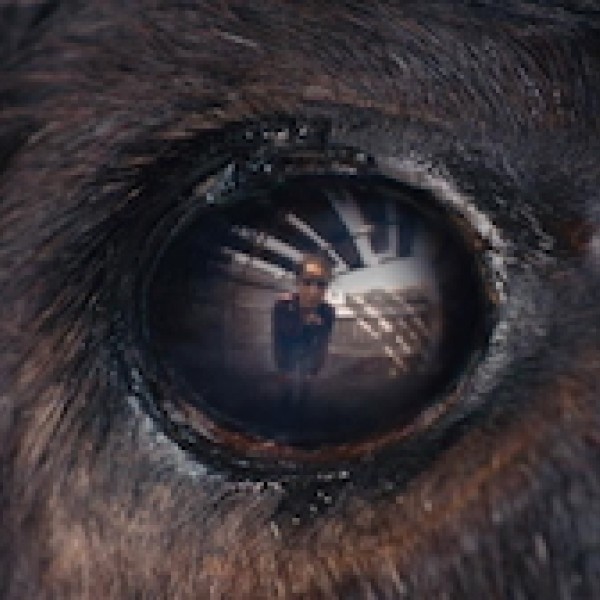 This Week's  Film Reviews ( Aug 8th, 2025)