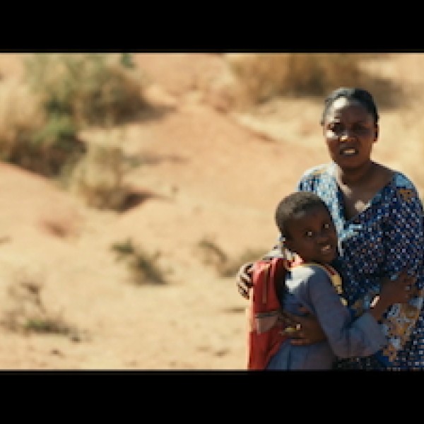 Best of TIFF 2025