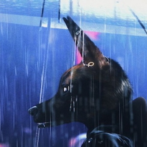 This Week's  Film Reviews ( July 3rd, 2026)